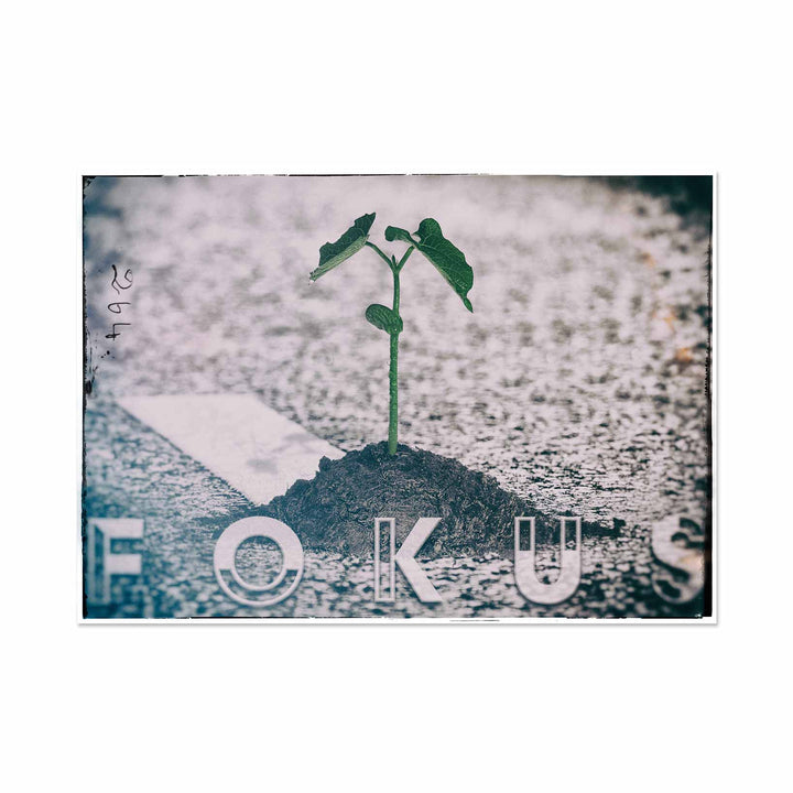 Dekoartikel - FOKUS - Vintage art by life